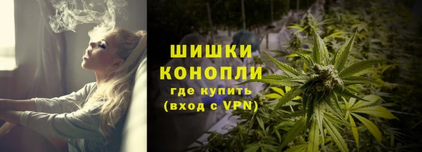спайс Белая Холуница