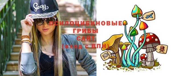 молекула духа Верея