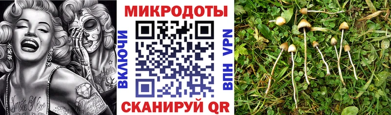 Галлюциногенные грибы Psilocybine cubensis  ссылка на мегу ссылка  Буй 